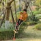 Playberg Colorful Climbing Rope with Platforms Foot Holder For Kids Indoor Outdoor Backyard QI004077.MC - alternate 6